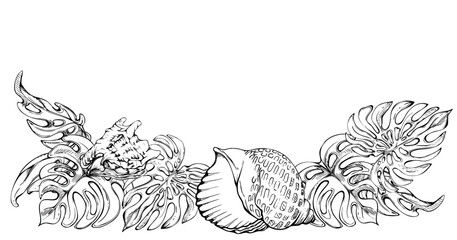 Hand drawn vector ink composition. Seascape with beach surf, wave, sea shells on monstera leaves. Isolated on white background. Wall art, wedding, print, fabric, cover, card, tourism, travel booklet.