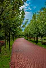 Brick path through the park