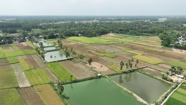 view of a village and field, beautiful pattern aerial video footage, bangladesh