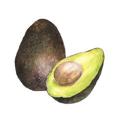 Watercolor botanical illustration of avocado hass and cutted avocado with pit , isolated