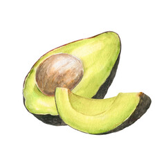 Watercolor botanical illustration of avocado hass and cutted avocado with pit , isolated