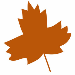 Autumn tree leaf orange color.