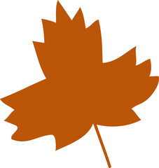 Autumn tree leaf orange color.