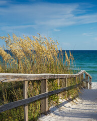 Seaside path through sand dunes with sea oats - 601808352