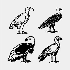 set of Black vultures on a white background. African animals. Vector illustration