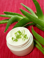 Bowl of creme aloe vera and aloe