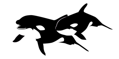 the orka vector eps 10 © Muginandaru