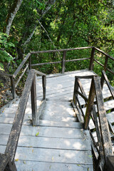 Fototapeta premium Bajando por las escaleras desde el Templo IV. Mirador en Tikal. Guatemala.