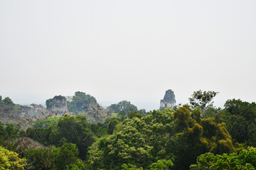 Templo I o Gran Jaguar y Templo II en medio de la Selva. Tikal, Guatemala.