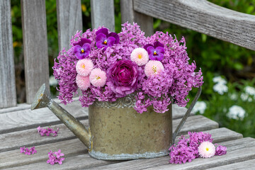 Blumenstrauß mit lila Ranunkel, Flieder, Bellis und Hornveilchen in dekorativer Gießkanne