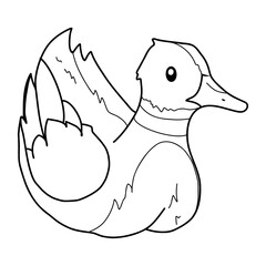 Coloring duck
