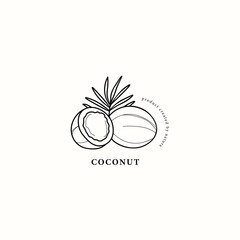 Line art coconut with leaf illustration