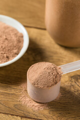 Organic Chocolate Whey Protein Powder