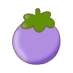 Fruit drawing, tropical fruits drawing, fruit set collection 