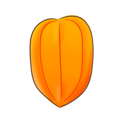 Fruit drawing, tropical fruits drawing, fruit set collection 