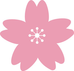 Cherry blossom flower, sakura flat vector pink icon illustration.