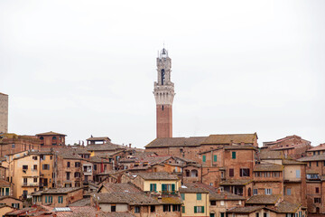 Fototapeta premium Generic architecture and cityscape view in Siena, Tuscany, Italy