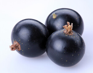 currant black; Objects on white background