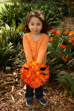 Little girl with a bunch of clivia miniata (bush lilies) from the garden