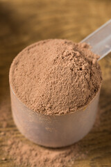 Organic Chocolate Whey Protein Powder