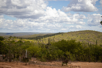 Linda Foto Paisagem e Decora&ccedil;&atilde;o Brasil Interior