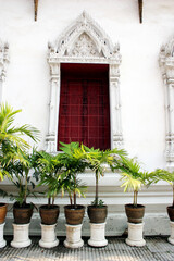 Fototapeta na wymiar Plants outside a temple, Bangkok, Thailand