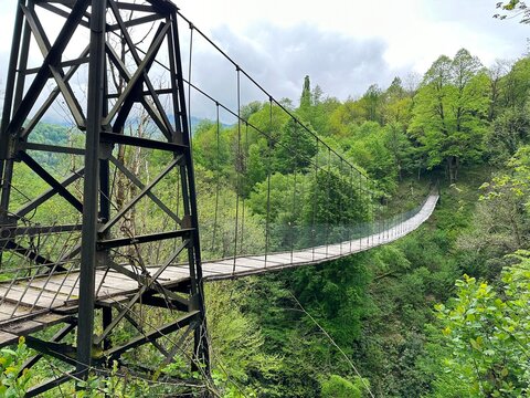 Suspension Bridge Over The River