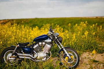 custom motorcycle bobber chopper in yellow field. Aesthetic vintage motorcycle