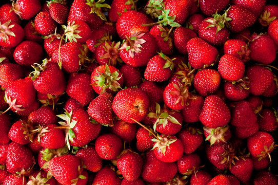 large group of strawberries filling up all the space