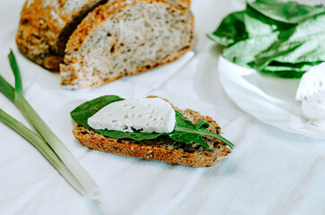 Close up sandwich from sourdough bread with cottage cheese and greens