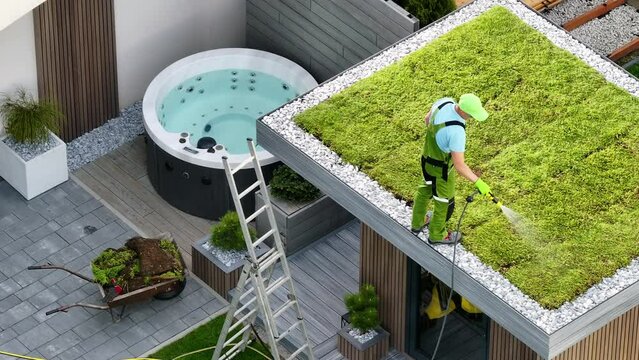 Landscaper Watering Living Roof in Modern Backyard Garden 