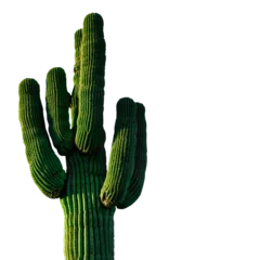 Fotobehang Green cactus isolated on white background transparent PNG background © Mubeen