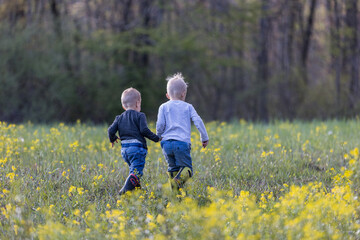 walking friends 