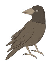 Tarot element card magical celestial wall art clipart poster mystical Minor arcana 70s 80s