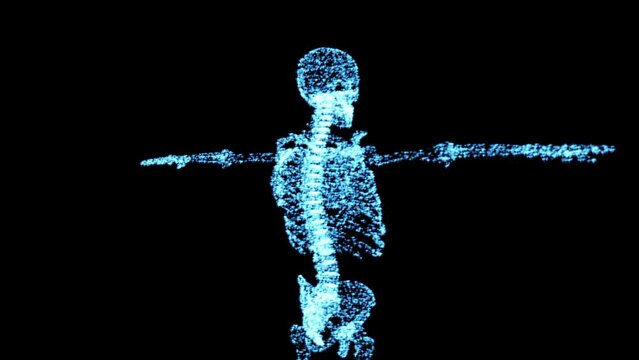 Digital, 3d and medical with x ray of skeleton for data, research or hologram technology. Medicine, healthcare and science scan of anatomy on black background for futuristic, abstract or bones