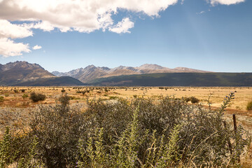 Typische neuseelandische Landschaft mit Bergpanorama im Hintergrund.