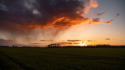 Naklejka na ściany i meble colourful sunset over field - heavy cloud in golden hour 