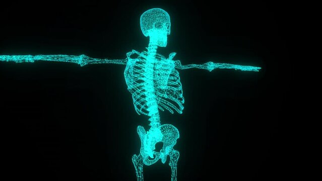 Digital, 3d and hologram with x ray of skeleton for data, research or medical technology. Medicine, healthcare and science scan of human anatomy on black background for futuristic, abstract or bones
