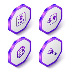 Set Isometric Type of bee, Bee location, Honeycomb and Beekeeping brush icon. Purple hexagon button. Vector