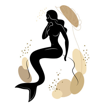 Mermaid silhouette. A beautiful girl sits on a stone in the water. Next to the leaves of the plant. Fantastic image of a fairy tale. vector illustration