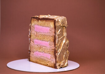 Cutaway homemade cake - chocolate and berry ice cream