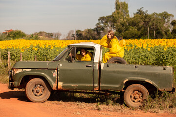 Duas apicultoras em uma caminhonete, parada em uma estrada de chão, visitando uma plantação de girassóis. - obrazy, fototapety, plakaty