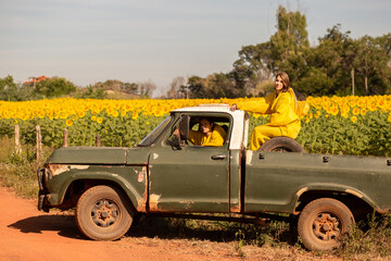 Duas apicultoras em uma caminhonete, parada em uma estrada de chão, visitando uma plantação de girassóis. - obrazy, fototapety, plakaty