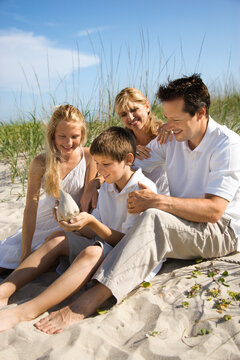 Caucasian family of four sitting on beach looking at seashell.