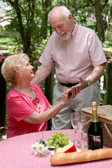 A senior husband surprises his wife with a romantic picnic for two.