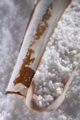sea salt in sea shell on salts and second shell background