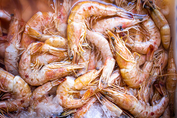 Photo of several pink shrimps (Farfantepenaeus subtilis) at the fish market