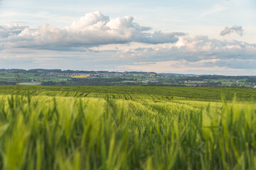 Fototapeta premium Landschaft in der Schweiz bei bewölktem Himmel
