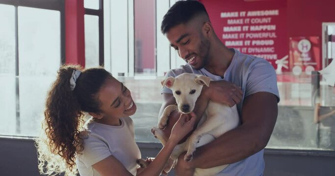 Adoption, animal shelter and a couple hugging a dog at a rescue center for charity or welfare together. Pet, love or trust with a man and woman adopting a young puppy from a community kennel