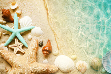 Starfish and seashell on the summer beach in sea water. Summer background. Summer time.